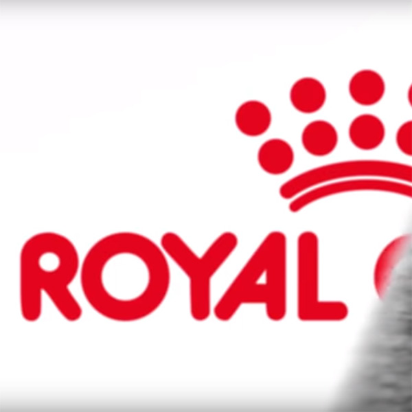 Royal Canin  |  Spot